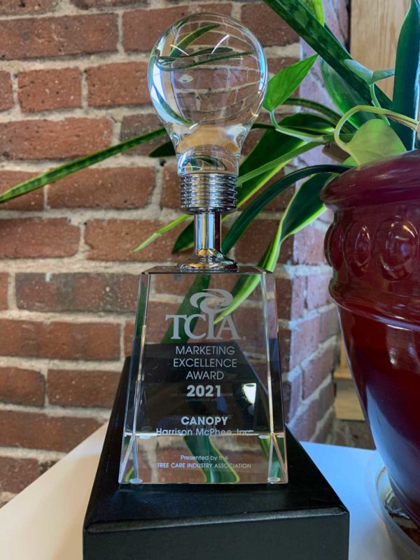 TCIA Marketing Excellence Award TCI EXPO 2024