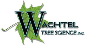 Wachtel Tree Science Inc.