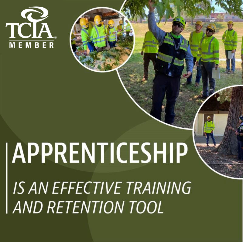 Apprenticeship is an Effective, Training & Retention Tool
